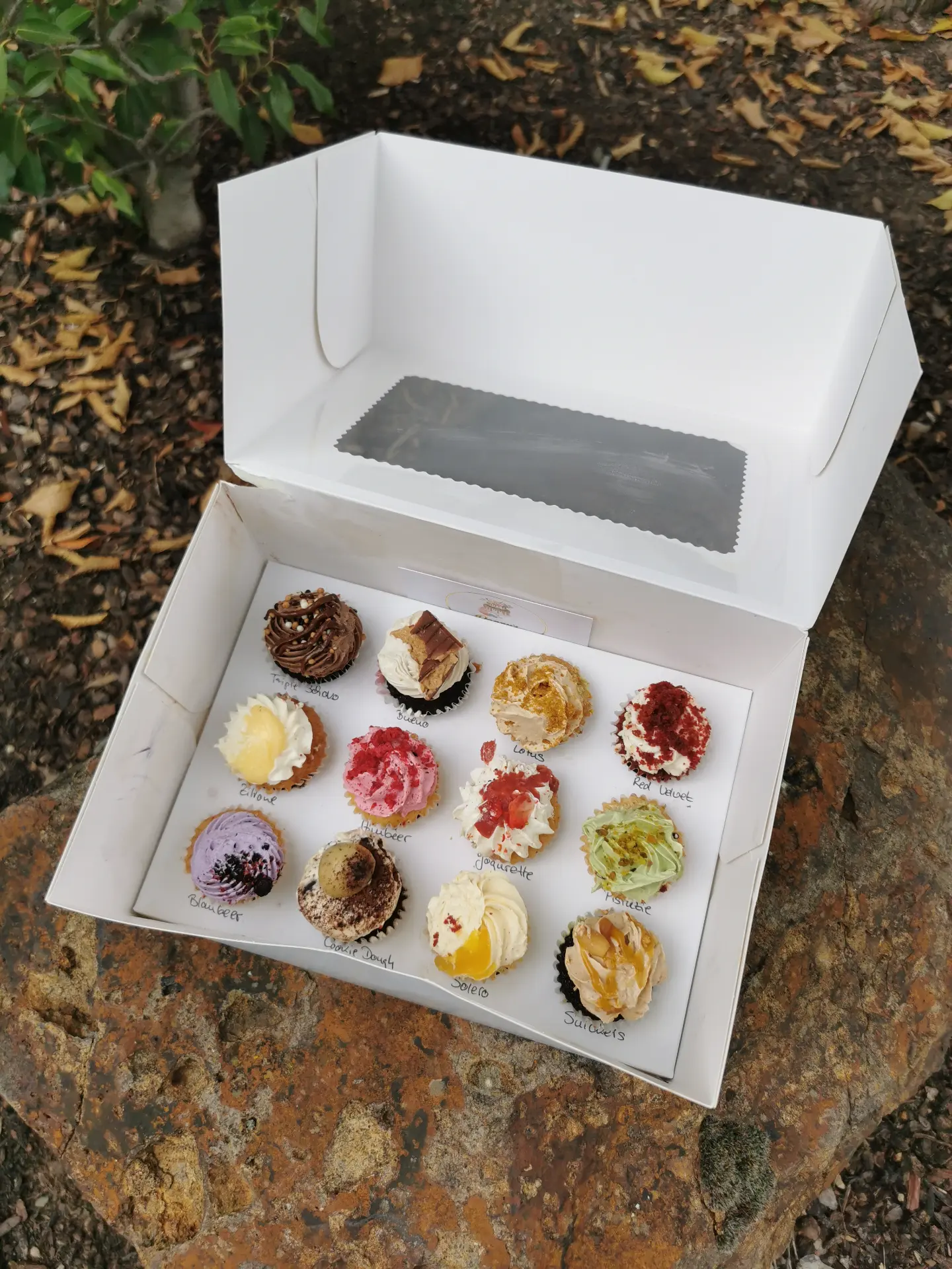 Geöffnete Probierbox mit zwölf verschiedenen Cupcakekreationen